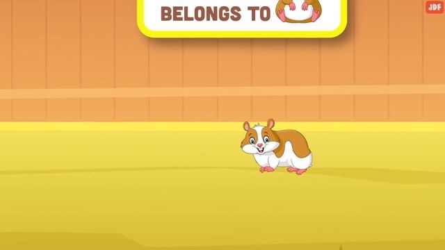 18 Things Hamsters Hate смотреть онлайн