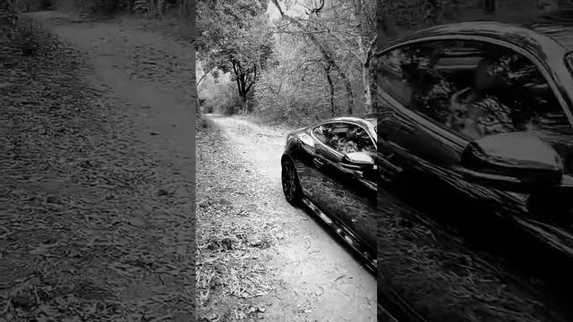 JAGUAR XKR ??#shots #viral #supportme смотреть онлайн