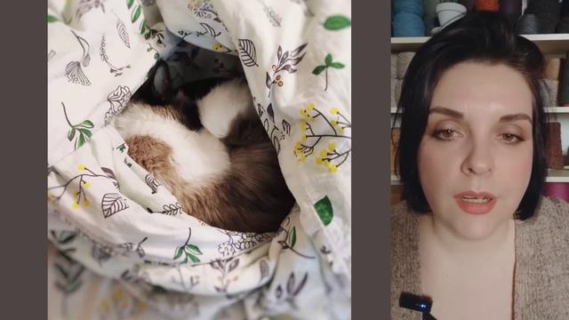 №34 Вы спрашиваете, я отвечаю :) Про дом, лес, животных, уколы красоты, вязание и работу