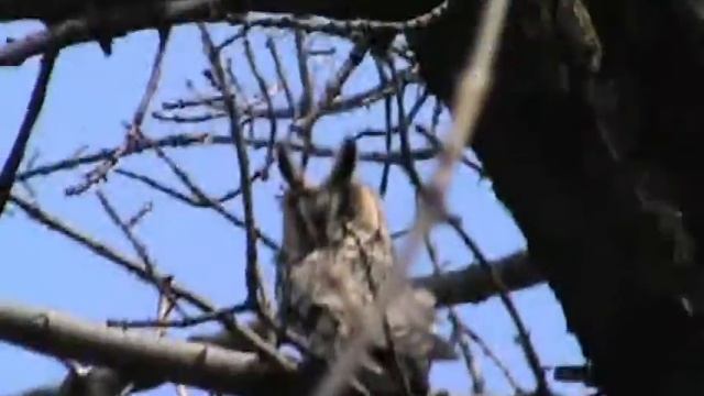 я всегда с собой беру видеокамеру смотреть онлайн