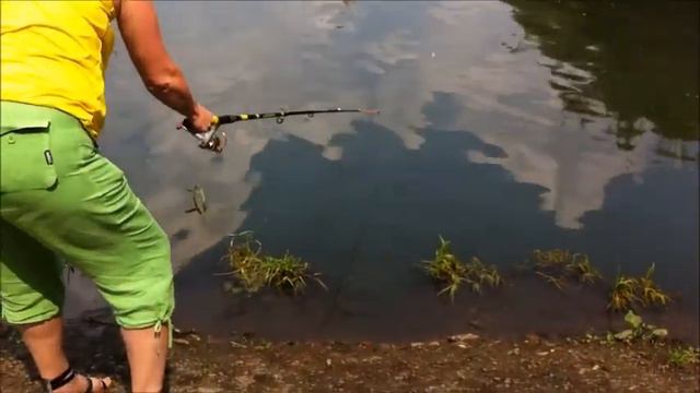 НА КРУТОЙ РЫБАЛКЕ ПОЙМАЛИ ВОСЕМЬ ФОРЕЛЕЙ И ОДНОГО КАРПА !!! 26 июня 2013 г смотреть онлайн