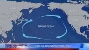 Мусорный остров в Тихом океане