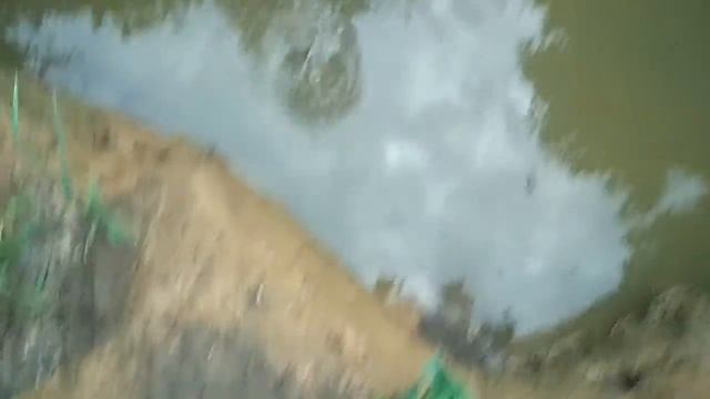 Запускаю в свой пруд раков(зарыбление раком)!!!! смотреть онлайн