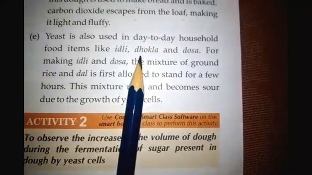 Class-8th|Science|Chapter-2|Microorganism:Friend or foe|Lecture -1|Learn with Miss Sakshi Khurana смотреть онлайн