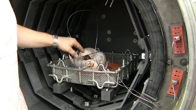 5 Reasons Not to Cook Your Thanksgiving Turkey in a Vacuum Furnace смотреть онлайн