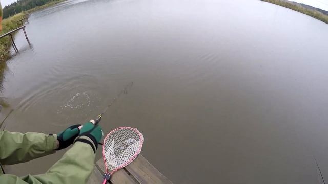 Форелевая рыбалка на "ПЛАТНИКЕ" н.п. Криуша (моя первая пойманная форель) смотреть онлайн