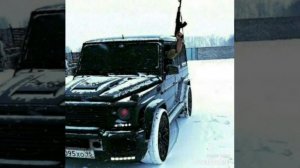 гио_пика-тётка_чёрной_масти