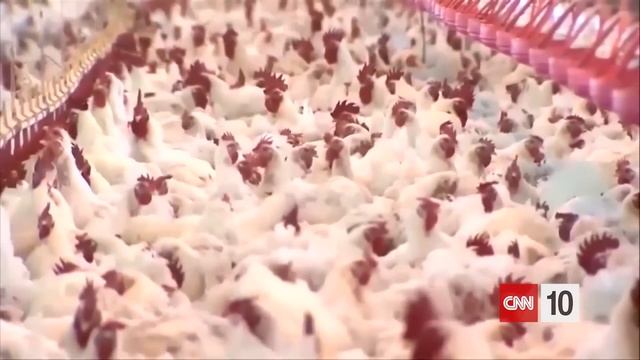 A Population Decline | January 19, 2023 смотреть онлайн