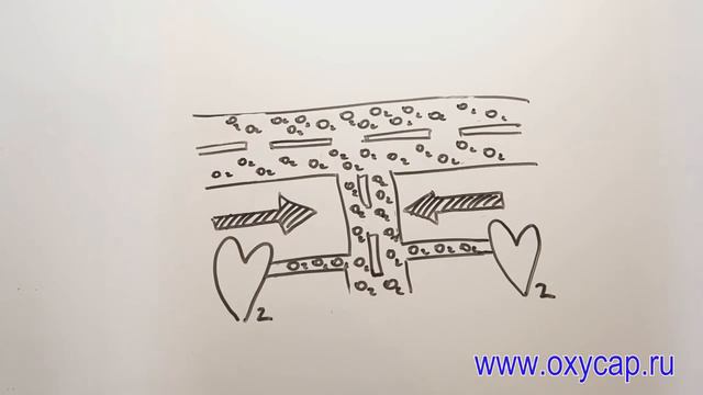 Святые истории религии