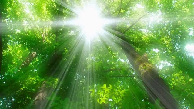 День 1 Медитация на Изобилие смотреть онлайн