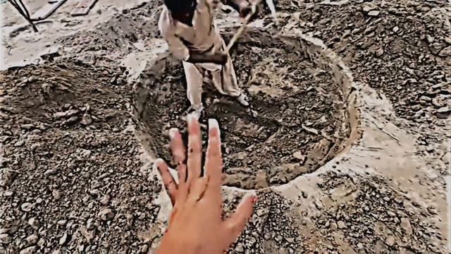 Shehr main dehat ft tiger surprise 😉🐅 | shehr mein dehat смотреть онлайн