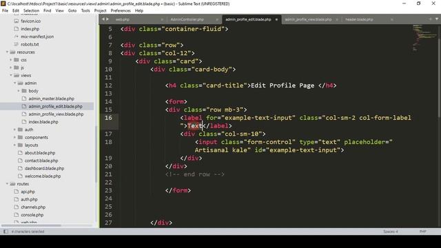 Laravel 9 Project #27 | Admin Profile & Image Update Part 2 смотреть онлайн