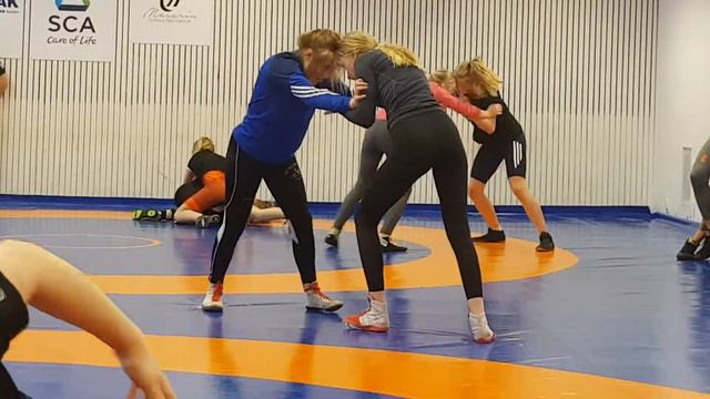 Mid Sweden Female Training Camp Sundsvall 2018 смотреть онлайн