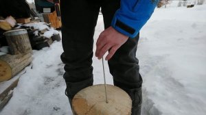 makita dtd 152 и dtd 154