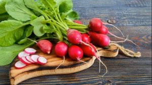Редиска - польза и вред. Это надо Знать!