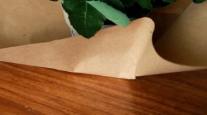 Как упаковать цветок в горшке в крафт бумагу / Упаковка подарков /