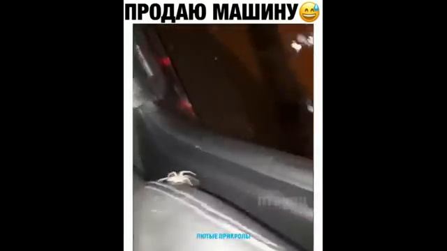 ПРИКОЛЫ 2022? ЧУДИКИ ИЗ ЮТУБА смотреть онлайн