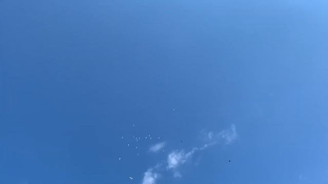 Бойные голуби. Гаро ? смотреть онлайн