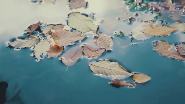 Calm Piano Muzigda, Peaceful Music, Romantic Muzigda, Muzigda Relaxing Music JRM65