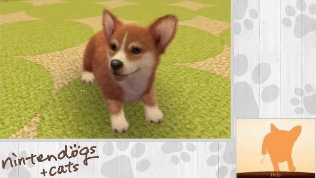 Nintendogs + Cats Gameplay Walkthrough w/ Ardy | HD | Part 1: Training смотреть онлайн