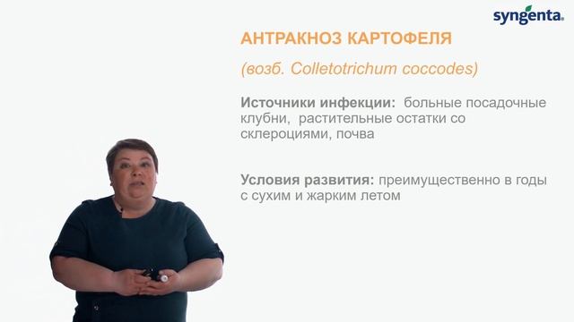 Как отличить антракноз картофеля от бактериоза смотреть онлайн
