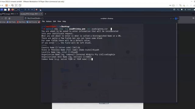 Openssl in Kali Linux смотреть онлайн