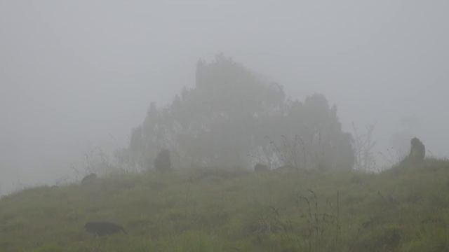 Hiking Mount Rinjani, Indonesia  [Amazing Places 4K]