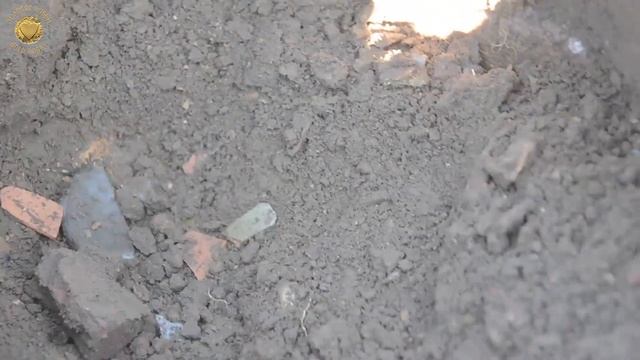 ДВОЙНОЙ КОП и ДВОЙНАЯ УДАЧА с сыном и XP Deus. Имперское серебро под старой грушей смотреть онлайн