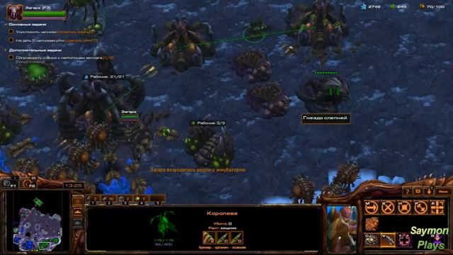 StarCraft 2 Загара Масса Камикадзе Челноки Эксперт смотреть онлайн