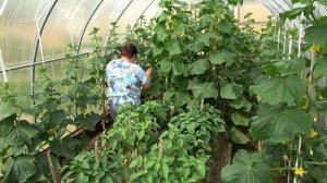 6 соток 28 июня 2023 года Хроника