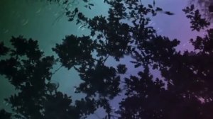 Вальс дождя. Шопен.