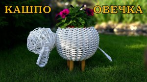Кашпо овечка из ротанга