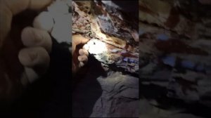 Как добывают австралийские опалы