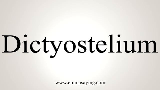 How To Say Dictyostelium смотреть онлайн