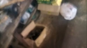 замена сцепления опель зафира а 1 8 ф17  OPEL ZAFIRA F 17, выжимного,  без снятия подрамника