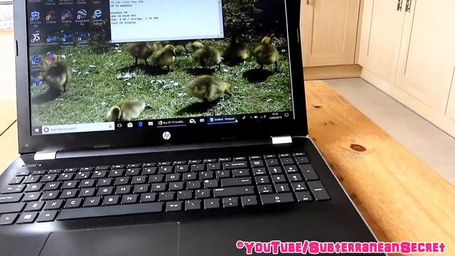 Review of the HP 15-bw060sa 15.6 Inch AMD A9-9420 Laptop смотреть онлайн