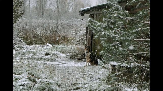 Прости - прощай.. смотреть онлайн