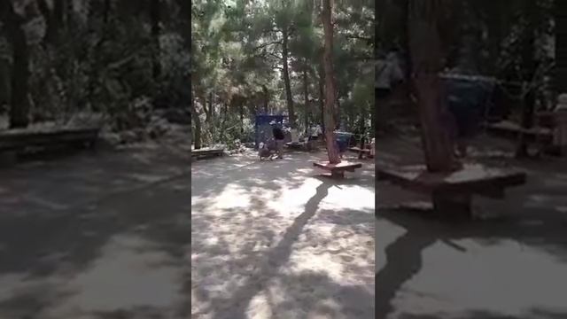 Динопарк в Турции смотреть онлайн