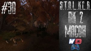 S.T.A.L.K.E.R. Плохая компания 2: Масон. Прохождение #30. Рыжий лес встречает