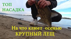 Рыбалка на леща ОСЕНЬЮ. Крупный лещ на макароны