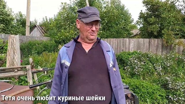 Домашний питомец аист Тетя живет в Межево смотреть онлайн