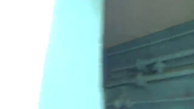 DMS NEO - Лесная сказка н тагил