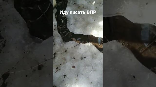 ВПР( смотреть онлайн