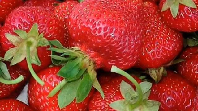 дача дача смотреть онлайн