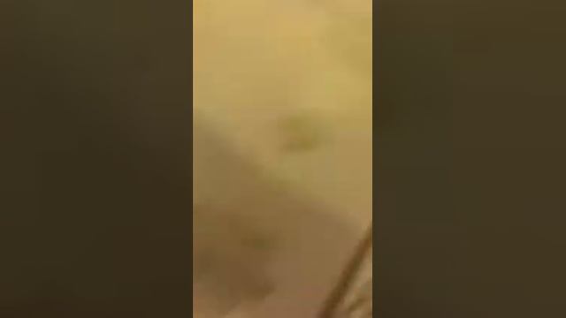 И тут Остапа понесло смотреть онлайн