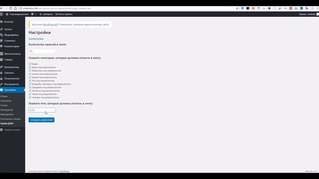 Yandex Zen 2.0 | Wordpress Яндекс Дзен плагин смотреть онлайн