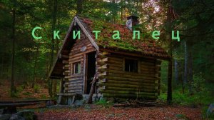 ОтдыхаемНаДаче: поход в овраг