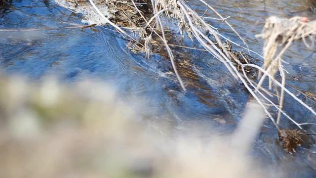 Canon EOS 650D / Rebel T4i test video Touchscreen Focus Test смотреть онлайн