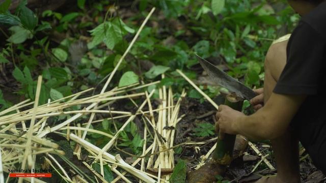 Make Fish Trap And Catch Fish ? | Sumatra's Instincts