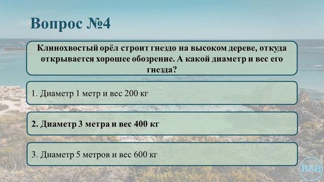 Птицы Австралии Тест №1 / Интересные факты о птицах смотреть онлайн